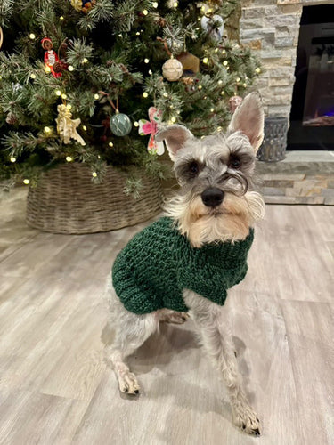 Christmas Sweater for Scotty